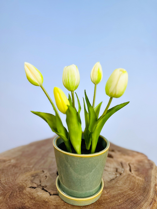 Kunst Tulpen - wit (incl. groene pot) | 30cm
