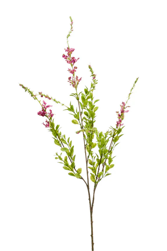 Mijn zijden plant is stoffig geworden, wat nu?
