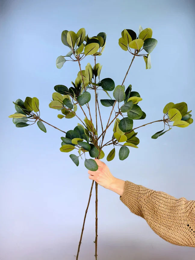 Hoe houd ik mijn zijden planten mooi?