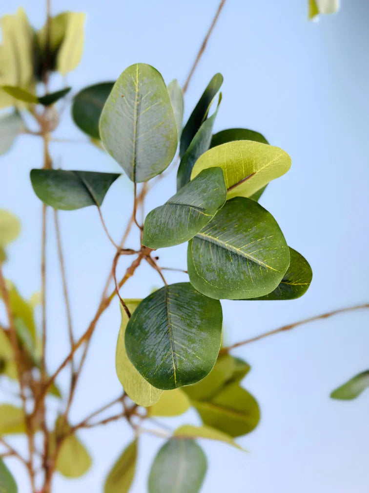 Creëer jouw persoonlijke sfeer met zijden planten