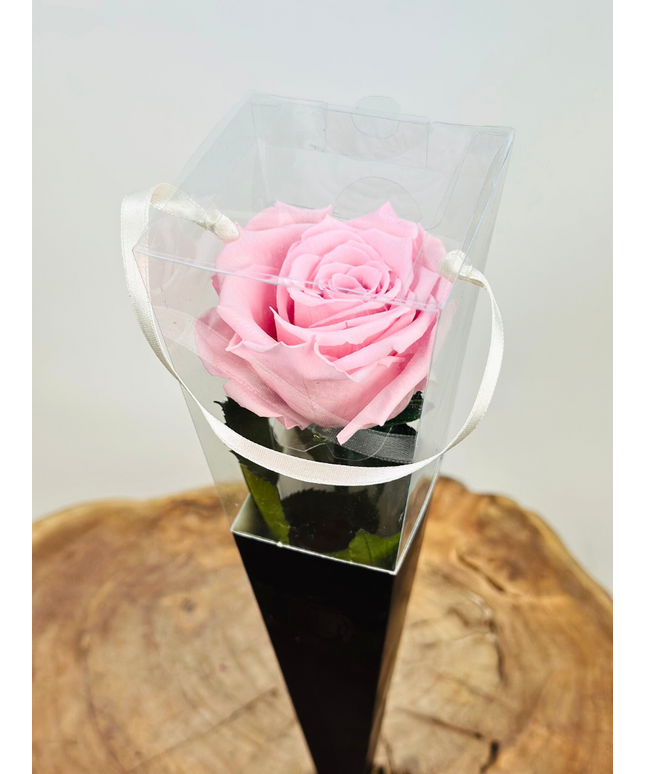 Longlife Roos "Sealed Love" in giftbox (roze) - 30 cm