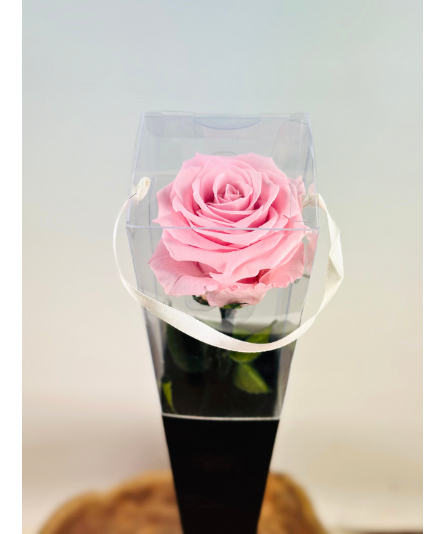 Longlife Roos "Sealed Love" in giftbox (roze) - 70 cm