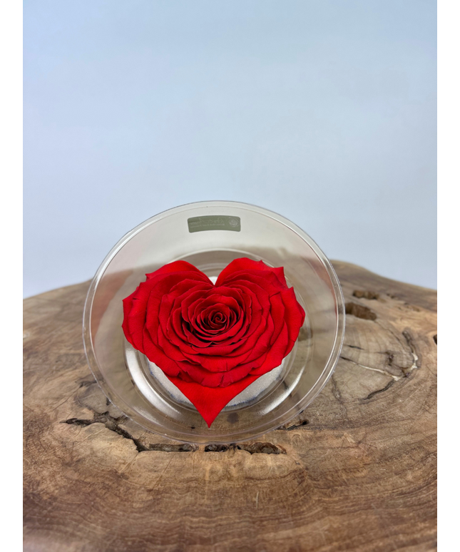 DIY | Longlife rozenkop | Hart - Rood