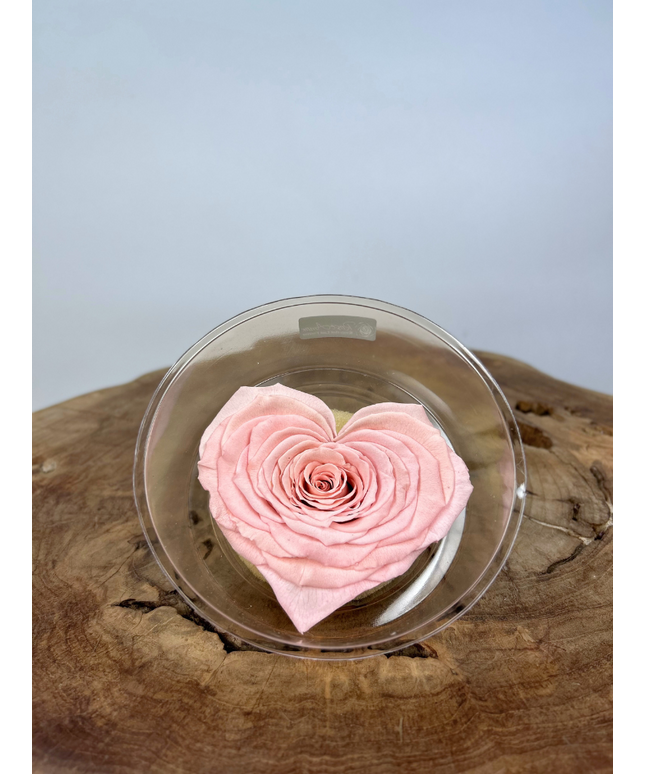 DIY | Longlife rozenkop | Hart - Roze