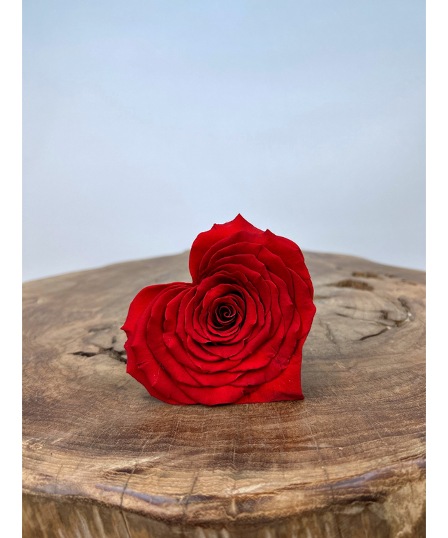 DIY | Longlife rozenkop | Hart - Rood