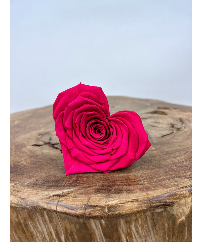 DIY | Longlife rozenkop | Hart - Fuchsia