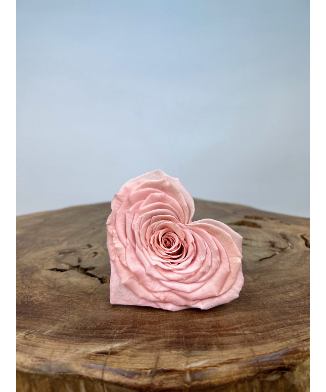 DIY | Longlife rozenkop | Hart - Roze