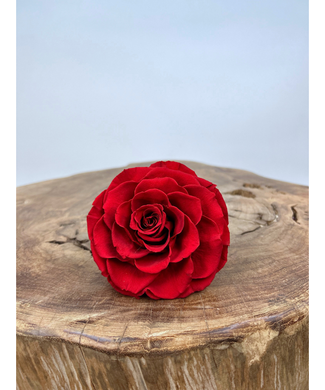 DIY | Longlife rozenkop - Rood