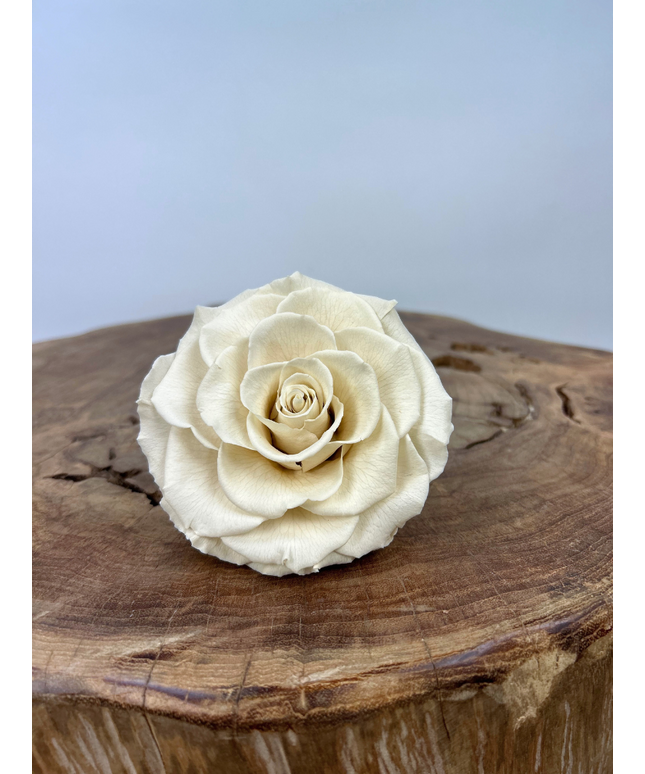 DIY | Longlife rozenkop - Wit