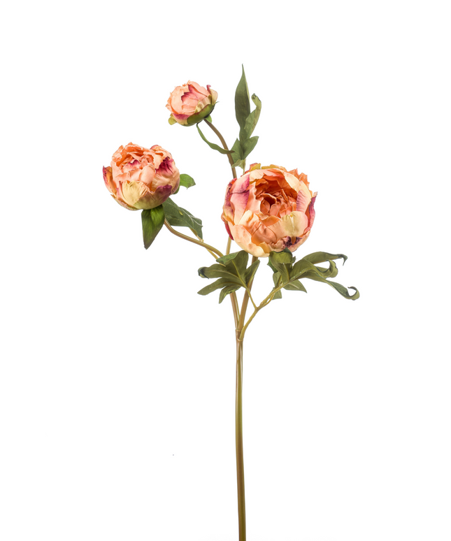 Zijden bloem "Peony" spray x3 dry look peach | 62 cm