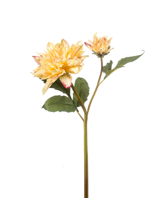 Zijden bloem "Dahlia" spray x2 dry look yellow | 52 cm
