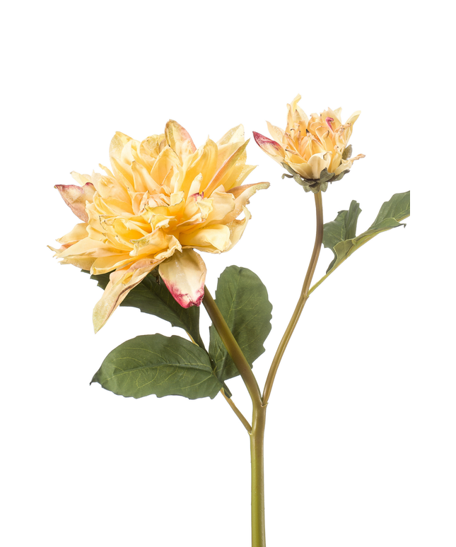 Zijden bloem "Dahlia" spray x2 dry look yellow | 52 cm