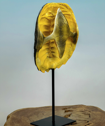 Turtle shell on stand | 20x10x40cm