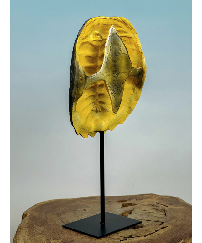 Turtle shell on stand | 20x10x40cm
