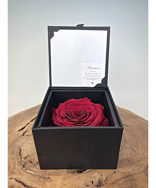 Longlife Roos 'rood' in giftbox | LARGE