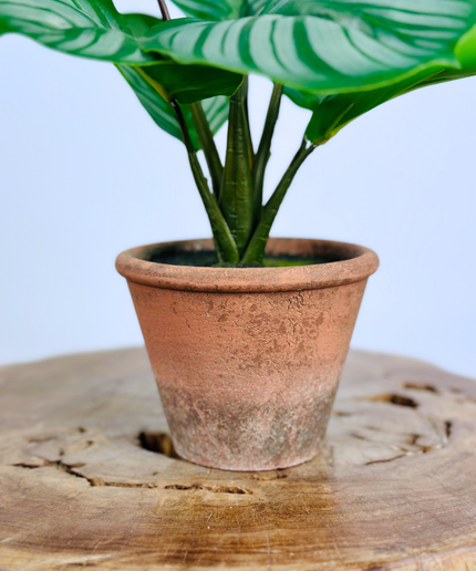 Kunstplant -Alocasia in pot - 29cm