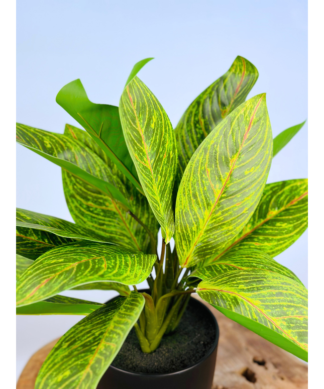 Kunstplant - Croton in pot - 38cm