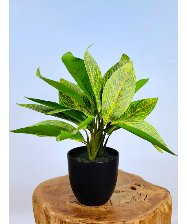Kunstplant - Croton in pot - 38cm