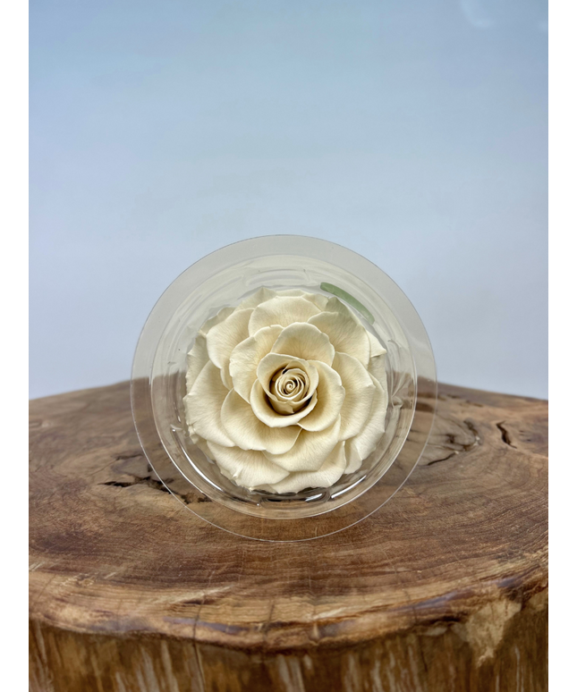 DIY | Longlife rozenkop - Wit