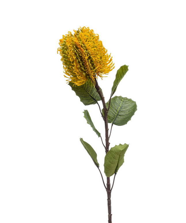 Zijden bloem "Banksia" Spray Yellow | 57cm
