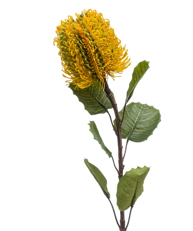 Zijden bloem "Banksia" Spray Yellow | 57cm