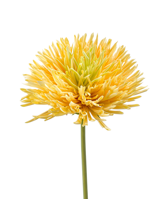 Zijden bloem "Chrysanthemum" Spray yellow | 58 cm