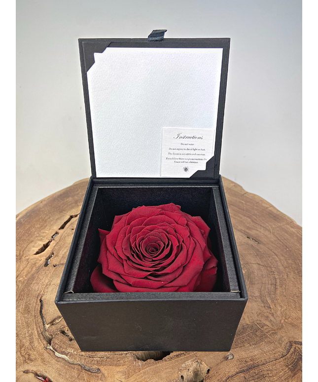 Longlife Roos 'rood' in giftbox | LARGE