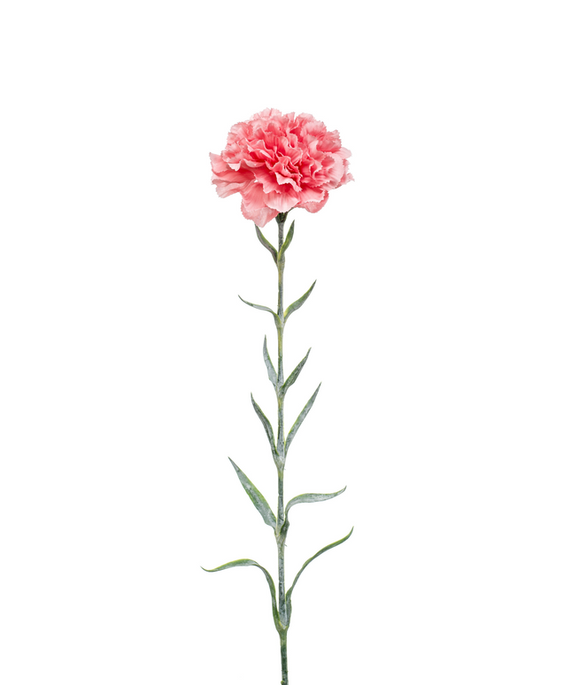 Zijden bloem "Dianthus" spray pink | 67 cm