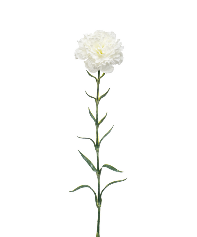 Zijden bloem "Dianthus" spray white | 67 cm