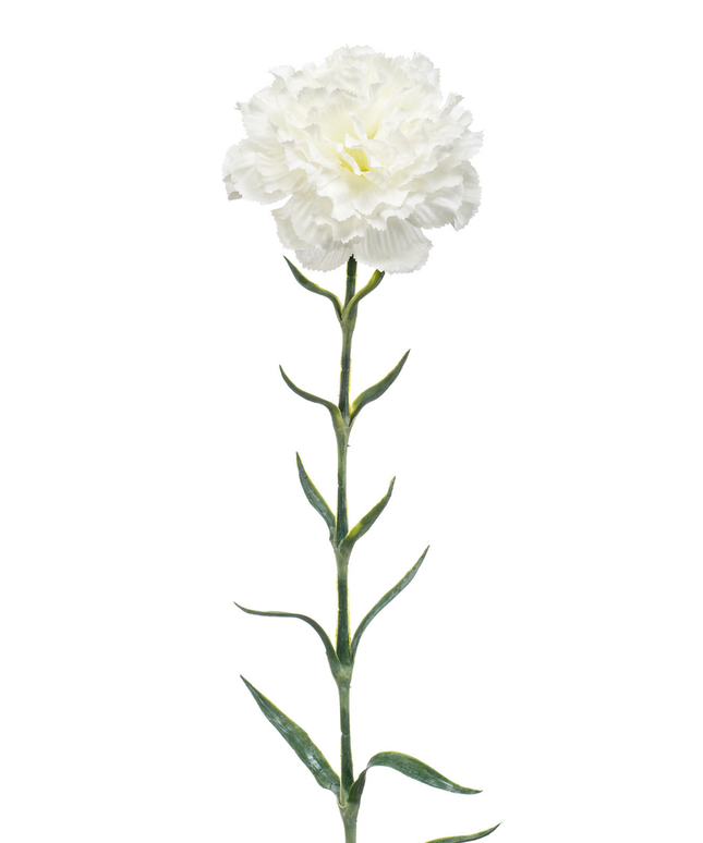 Zijden bloem "Dianthus" spray white | 67 cm