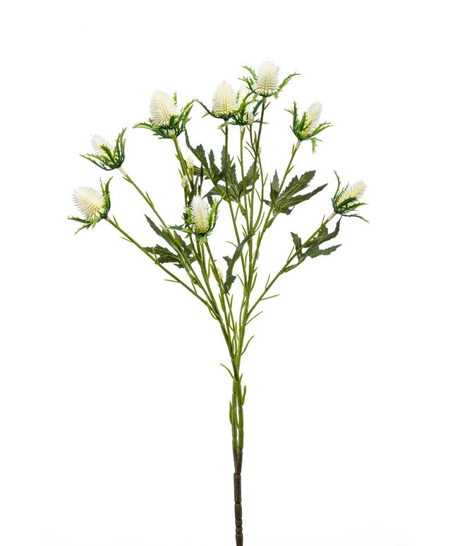 Zijden bloem "Eryngium" Spray x 2 Cream | 68 cm