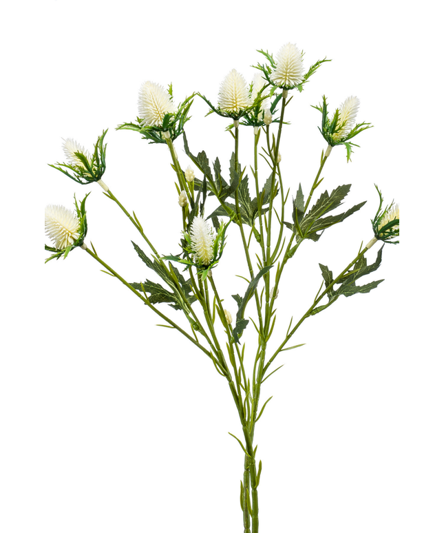 Zijden bloem "Eryngium" Spray x 2 Cream | 68 cm