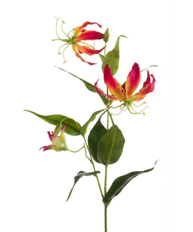 Zijden bloem "Gloriosa" Spray beauty/yellow | 75cm