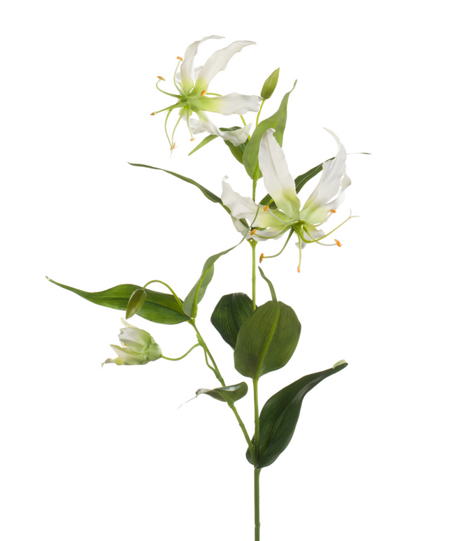 Zijden bloem "Gloriosa" Spray Cream | 75cm
