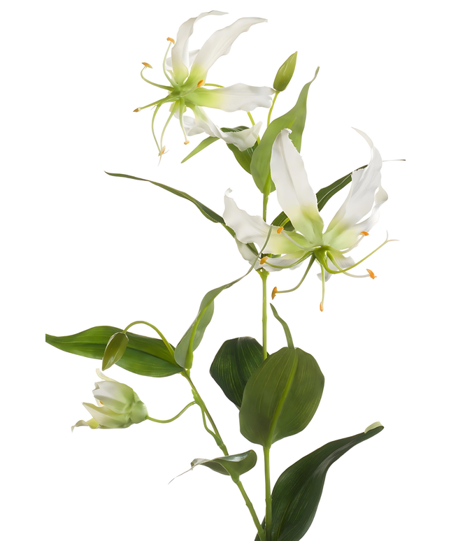 Zijden bloem "Gloriosa" Spray Cream | 75cm