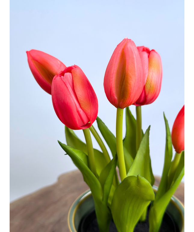 Kunst Tulpen - roze (incl. groene pot) | 30cm