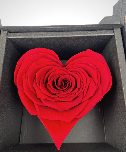 Longlife Roos 'hart' in giftbox