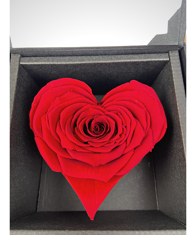 Longlife Roos 'hart' in giftbox