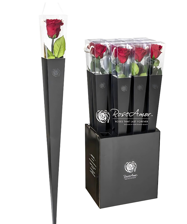 Longlife Roos "Sealed Love" in giftbox (donkerrood) - 70 cm