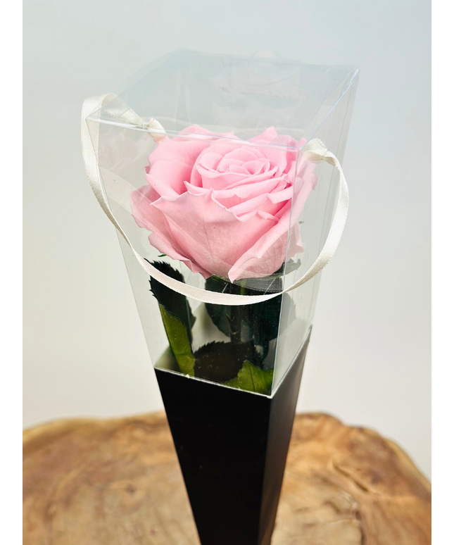 Longlife Roos "Sealed Love" in giftbox (roze) - 30 cm