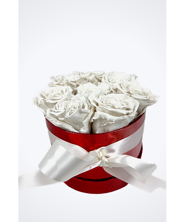 Longlife Rozenbox 'wit' (8 stuks)