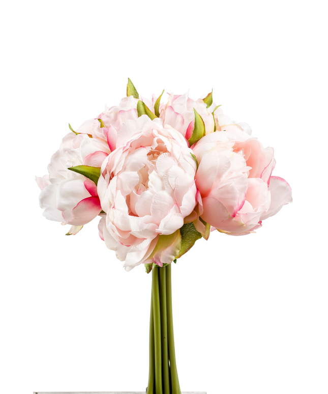 Zijden bloem "Peony" bundle light pink | 24cm