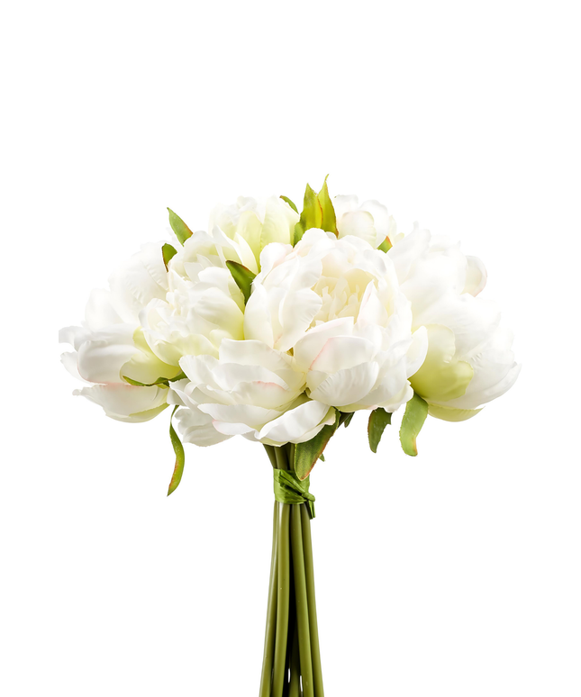 Zijden bloem "Peony" bundle white/green | 24cm