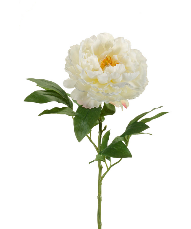 Zijden bloem "Peony" Spray Cream | 65cm