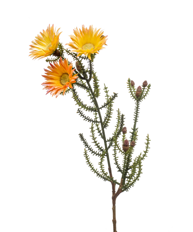 Zijden bloem "Phaenocoma" spray yellow | 61 cm