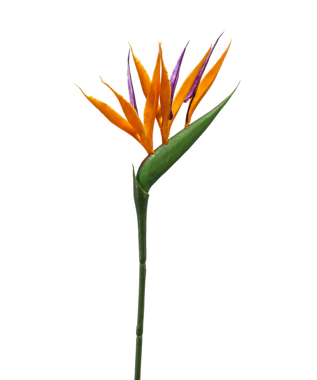Zijden bloem "Strelitzia mini" spray orange | 65cm