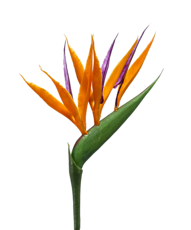 Zijden bloem "Strelitzia mini" spray orange | 65cm