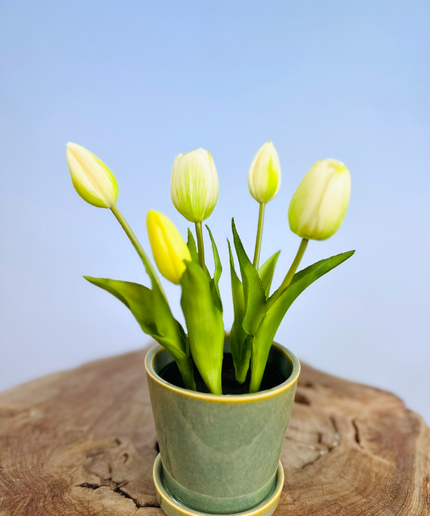 Kunst Tulpen - wit (incl. groene pot) | 30cm