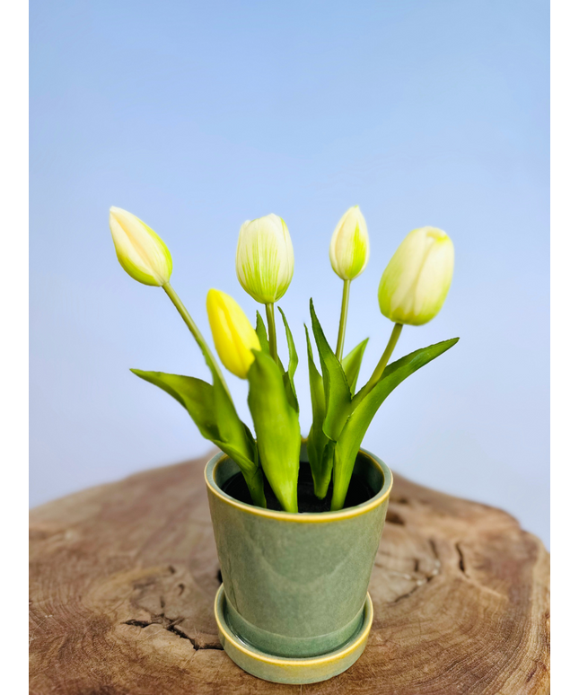 Kunst Tulpen - wit (incl. groene pot) | 30cm