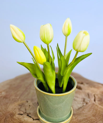Kunst Tulpen - wit (incl. groene pot) | 30cm